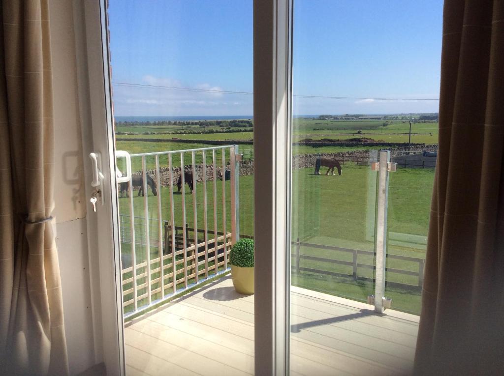 Bed and Breakfast Springwood North Sunderland Zewnętrze zdjęcie